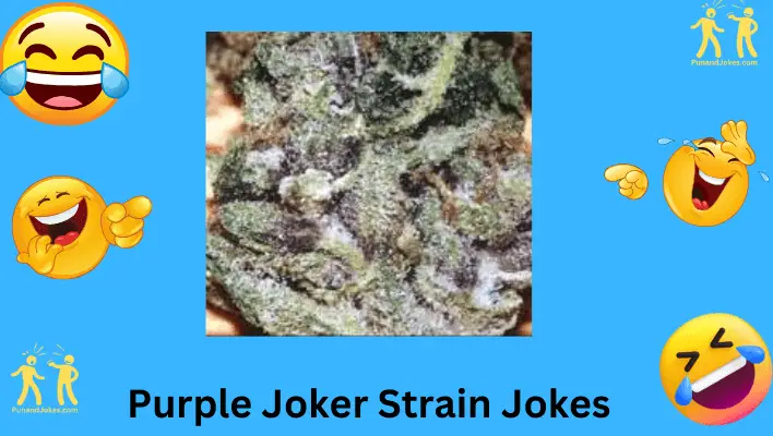 Purple Joker Strain Jokes