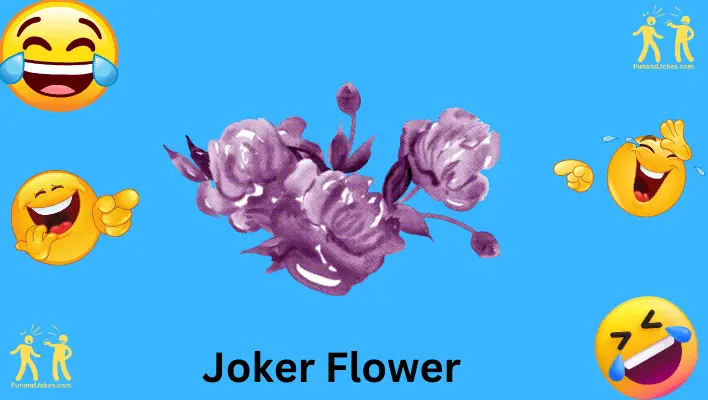 joker flower