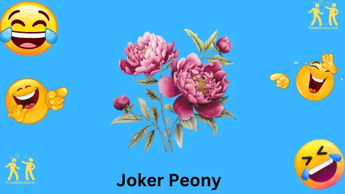 joker peony