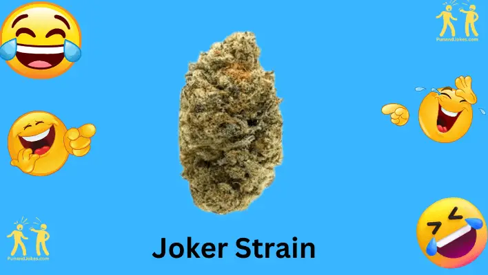 joker strain