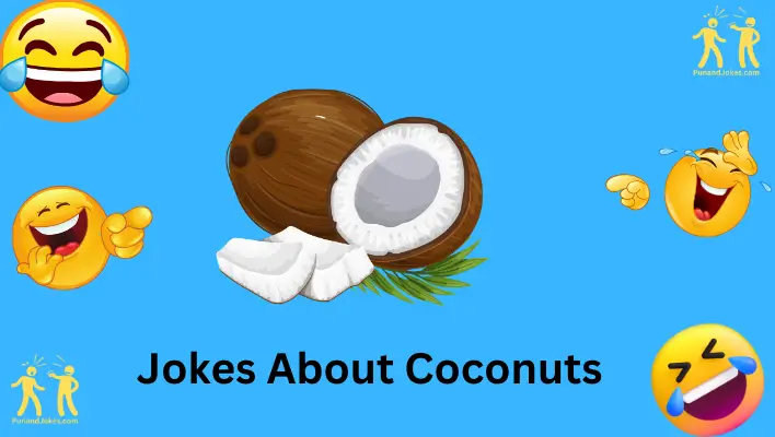 jokes about coconuts