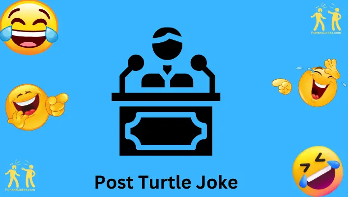 post turtle joke