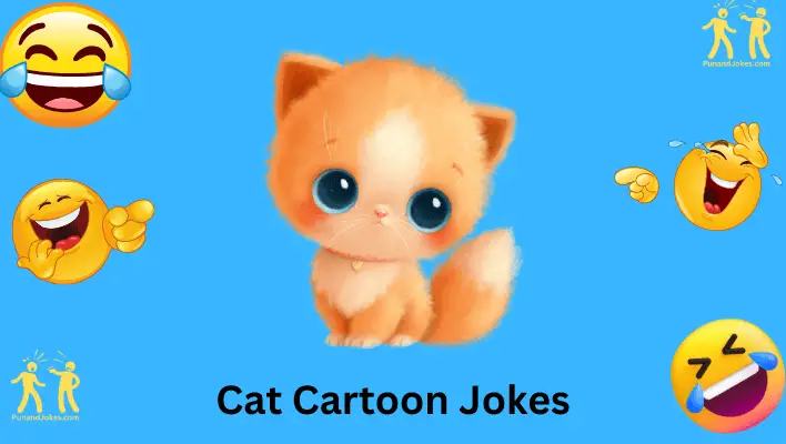 Cat Cartoon Jokes