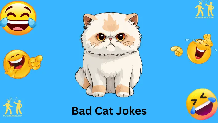 Bad Cat Jokes