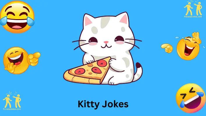 Kitty Jokes