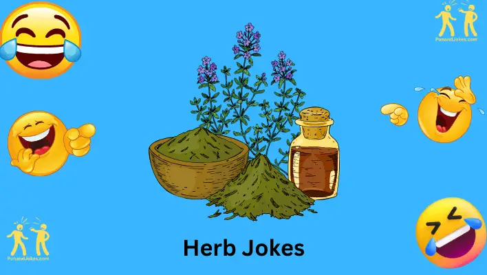 Herb Jokes