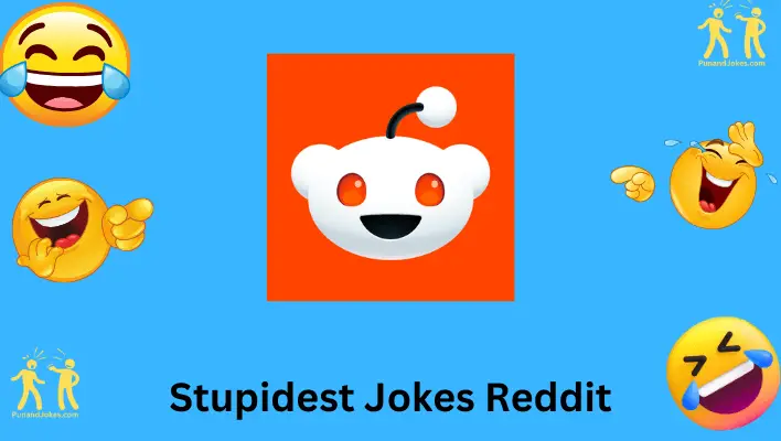 Stupidest Jokes Reddit