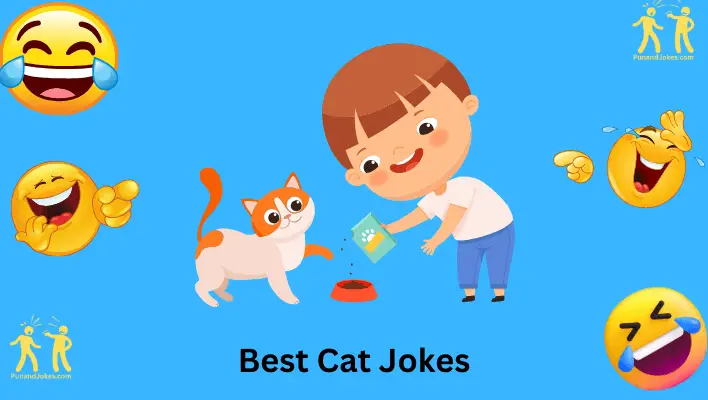 Best Cat Jokes