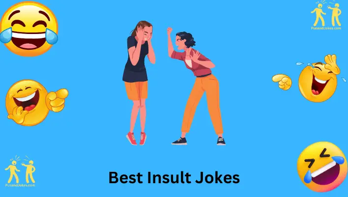 Best Insult Jokes