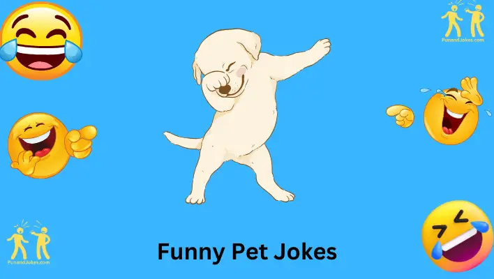 Funny Pet Jokes