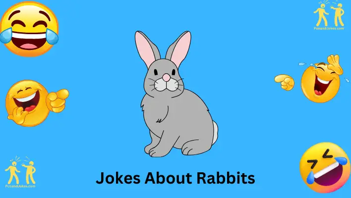 Jokes About Rabbits