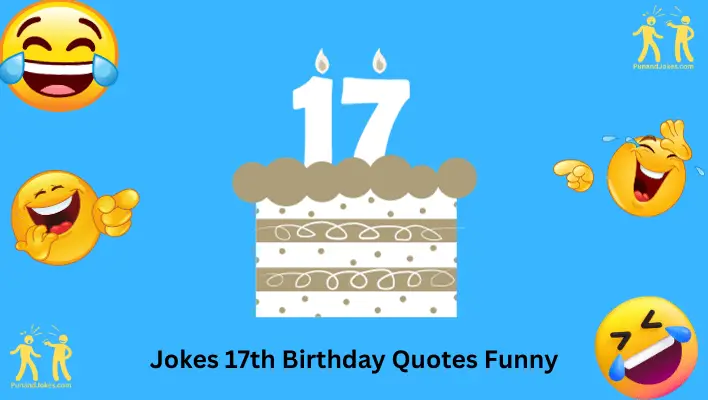 17th Birthday Quotes Funny