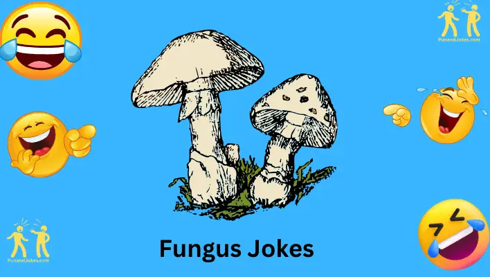 Fungus Jokes