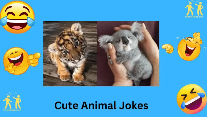 cute animal jokes