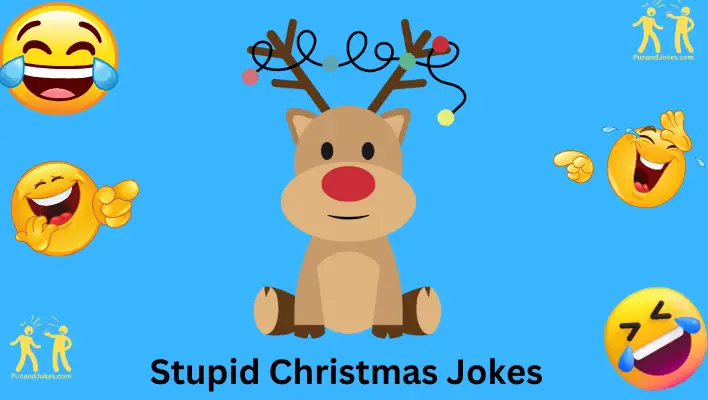 Stupid Christmas Jokes