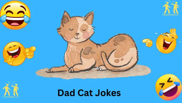 Dad Cat Jokes