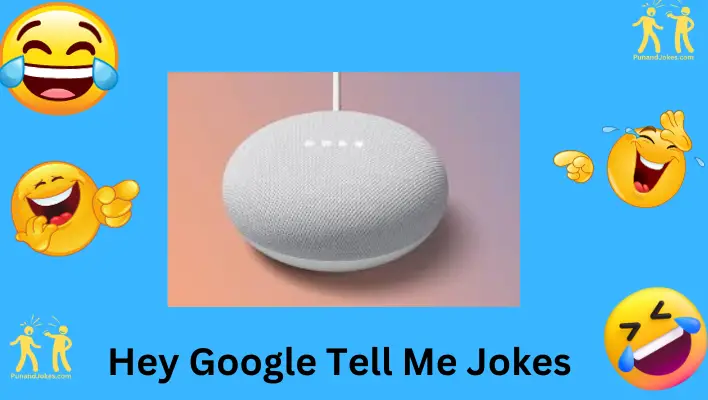 Hey Google, Tell Me Jokes