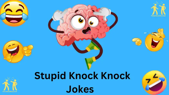 KNOCK KNOCK Jokes about STUPID