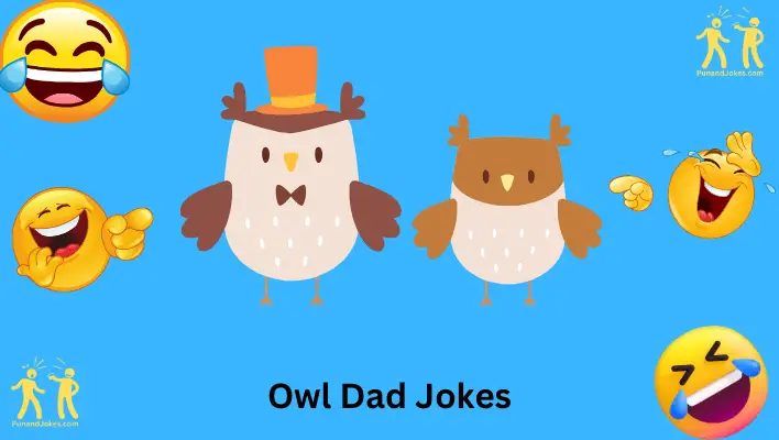 Owl Dad Jokes