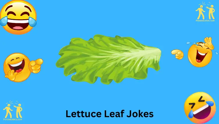 Lettuce Leaf Jokes