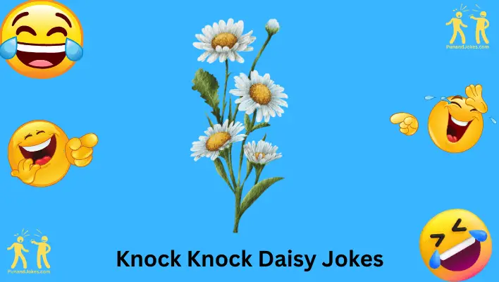 Knock Knock Daisy Jokes