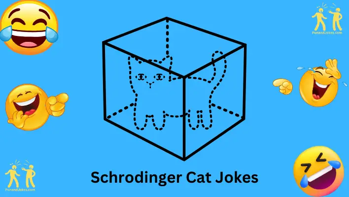 Schrödinger Cat Jokes