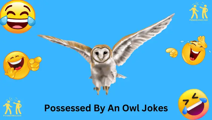 Possessed By An Owl Jokes