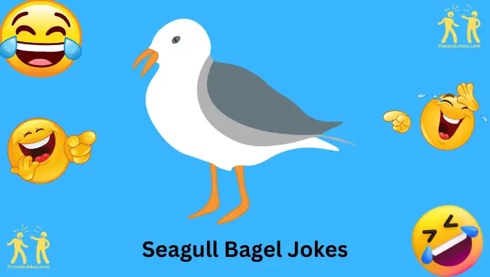 Seagull Bagel Jokes