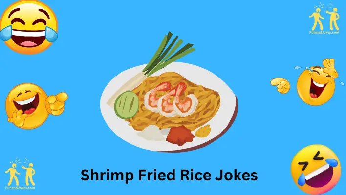 Shrimp Fried Rice Jokes