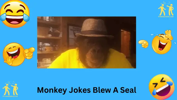 Monkey Jokes Blew a Seal