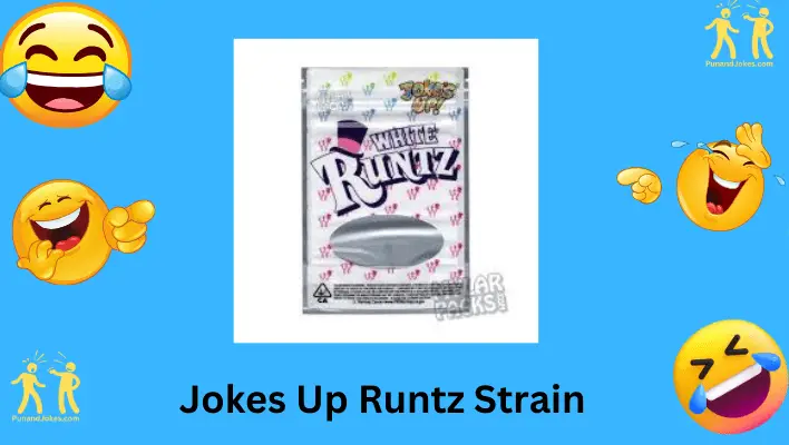 Jokes Up Runtz Strain