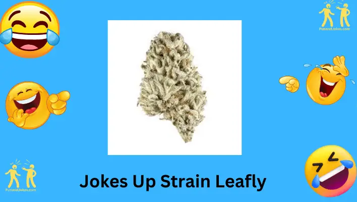 JOKES UP Strain Leafly