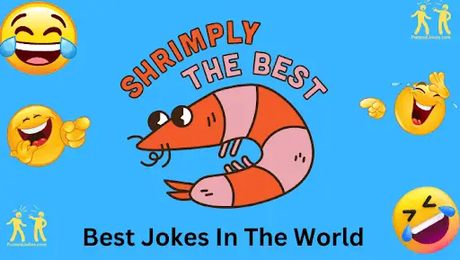 Best Jokes in the World