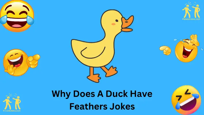 Why Does a Duck Have Feathers Jokes